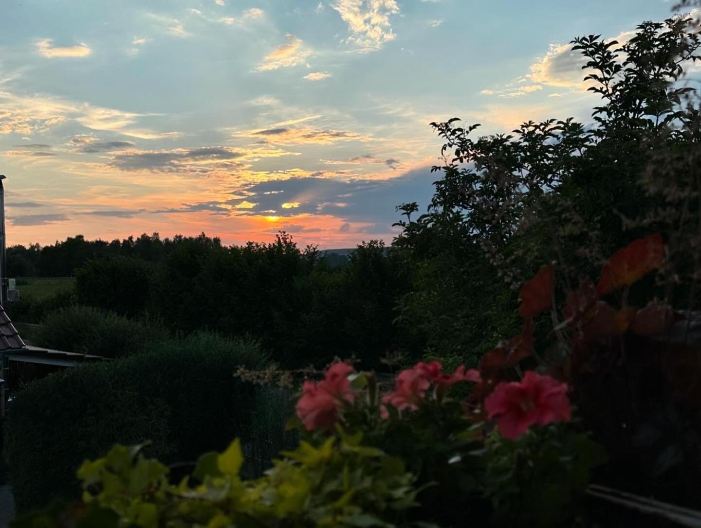 Hotel Zum Fliegerwirt Mengen Dış mekan fotoğraf